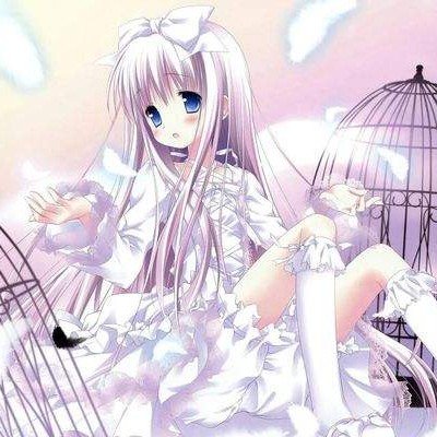 伊朗：同意暂停军事战斗但战争未结束
